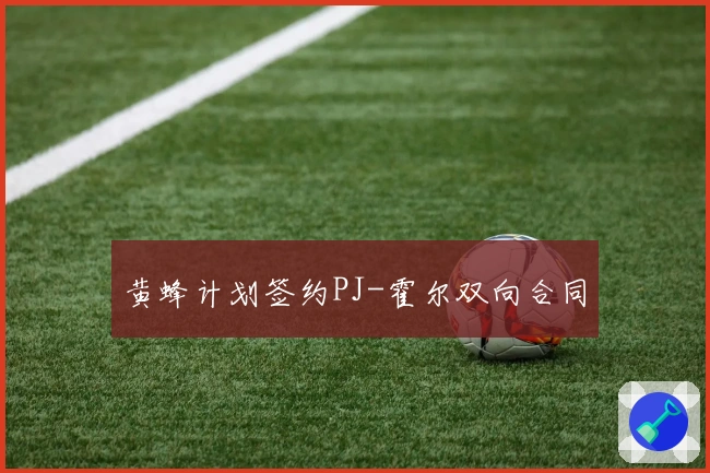 黄蜂计划签约PJ-霍尔双向合同