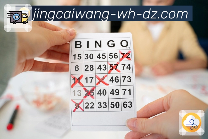 公告汇总与展示